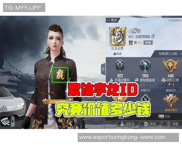 和平精英赛事分析聚焦FPX战队的比赛经验与战术策略探讨